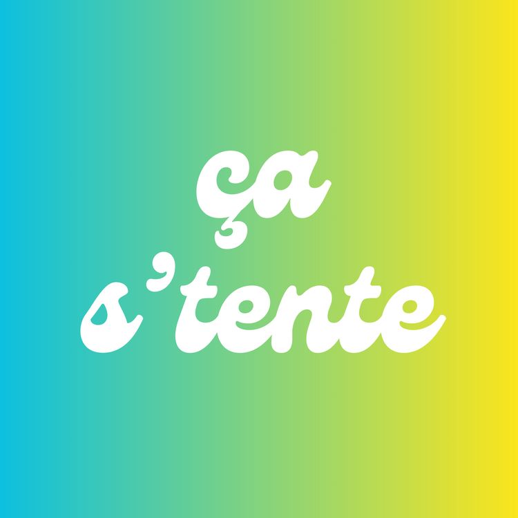 cover art for Anecdotes de profs