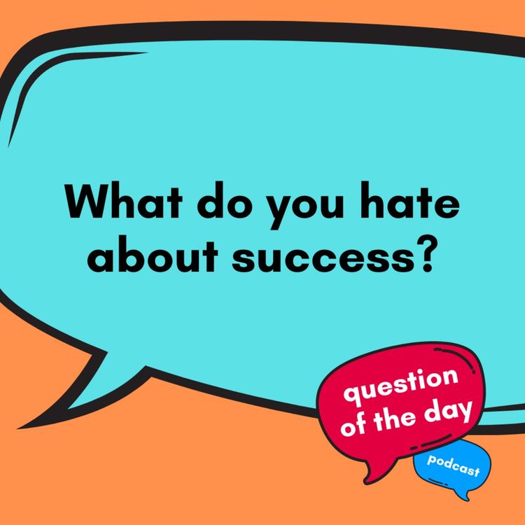 cover art for What do you hate about success?