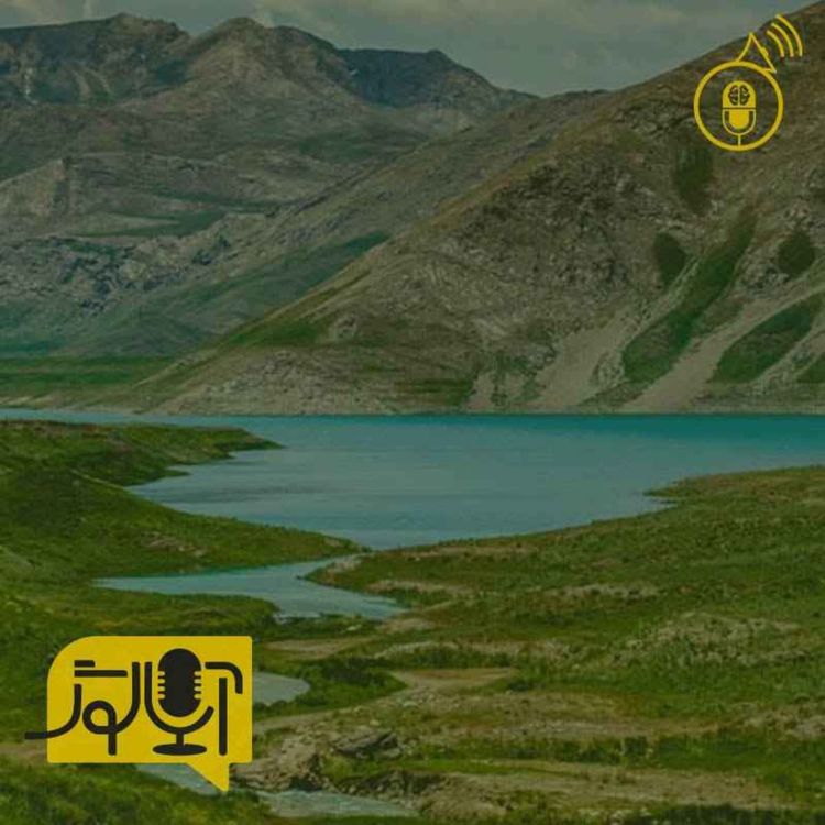 cover art for سرزمین شگفتیها