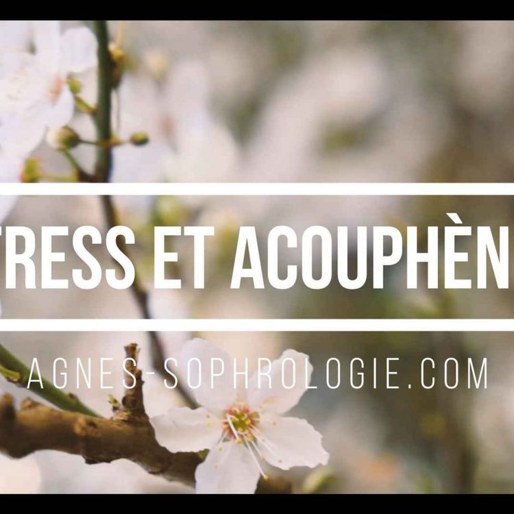 cover art for 2 Exercices Anti-Stress pour Soulager les Acouphènes
