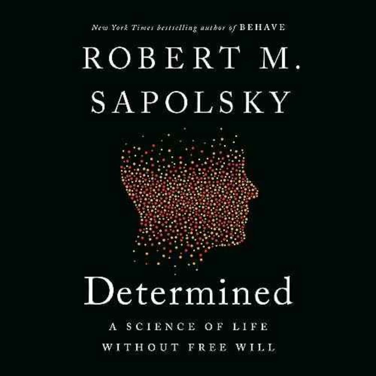 cover art for Determined _ P.4.new