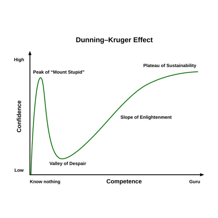 cover art for Dunning-Kruger Effect