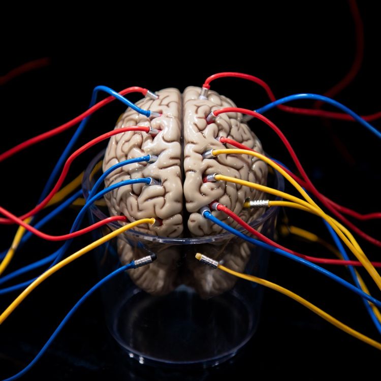 cover art for Brain-Computer Interfaces (BCI)