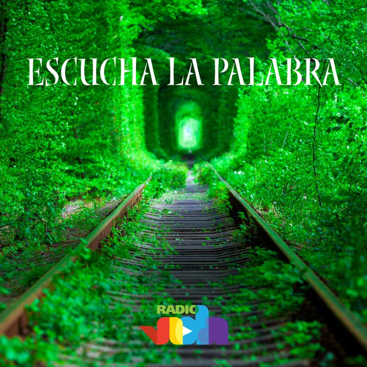 cover art for UNA ORACIÓN INCESANTE