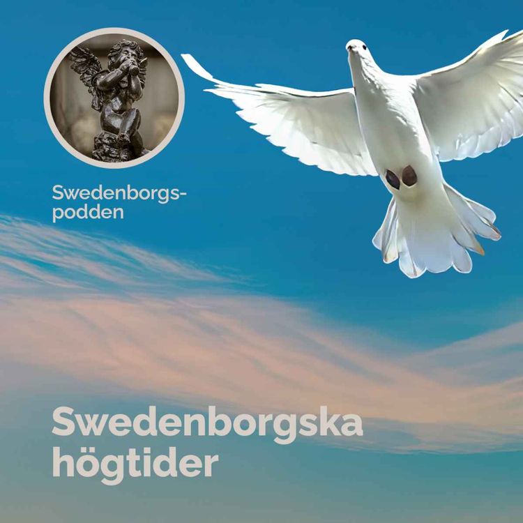 cover art for Swedenborgska högtider