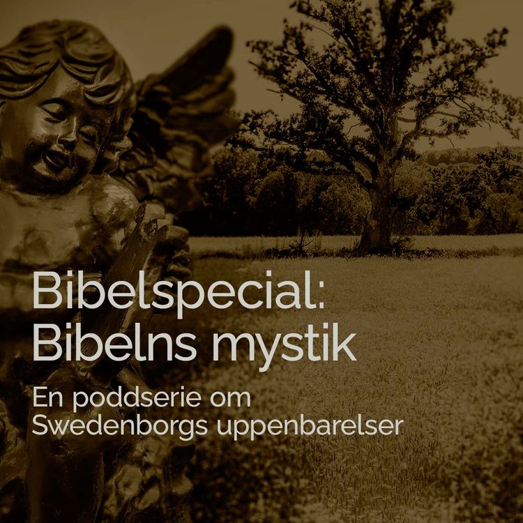 cover art for Bibelspecial: Bibelns mystik