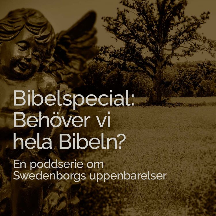 cover art for Bibelspecial: Behöver vi hela Bibeln?