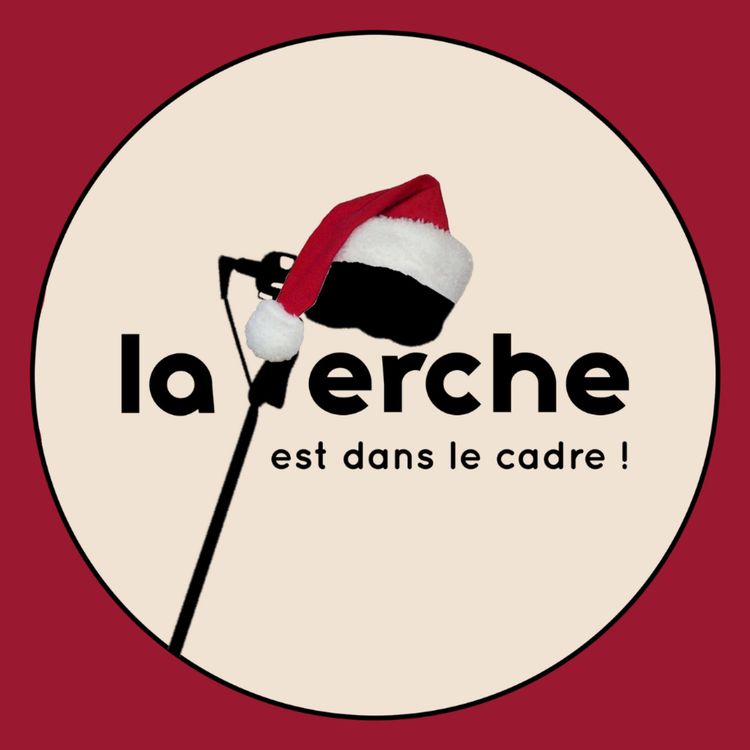 cover art for Les TOPS et les FLOPS de 2024 - l'émission de NOËL de la Perche
