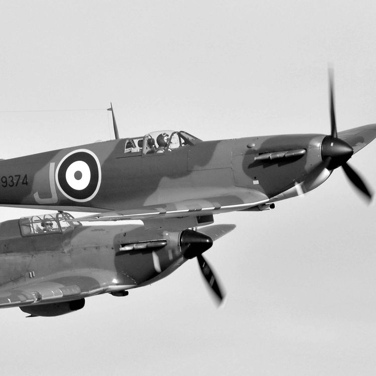 cover art for (IFF) Identification Friend or Foe