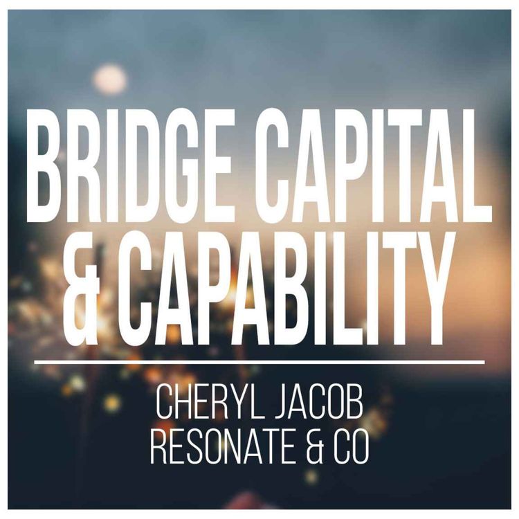 cover art for Helping Mission-Driven Entrepreneurs Find Scale 