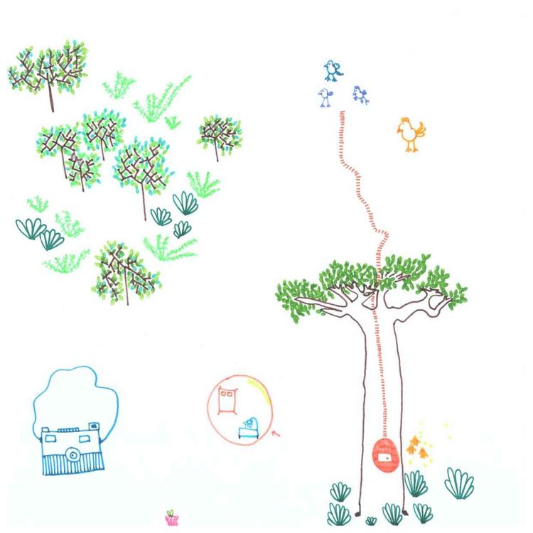 cover art for L'histoire du Baobab