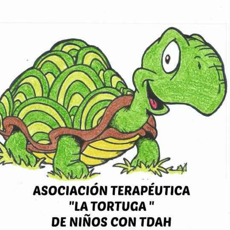 cover art for 77 - DÍA DE LA DIVERSIDAD FUNCIONAL - CARRERA SOLIDARIA