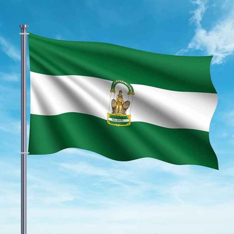 cover art for 78 - DÍA DE LA CONSTITUCIÓN Y BANDERA ANDALUZA