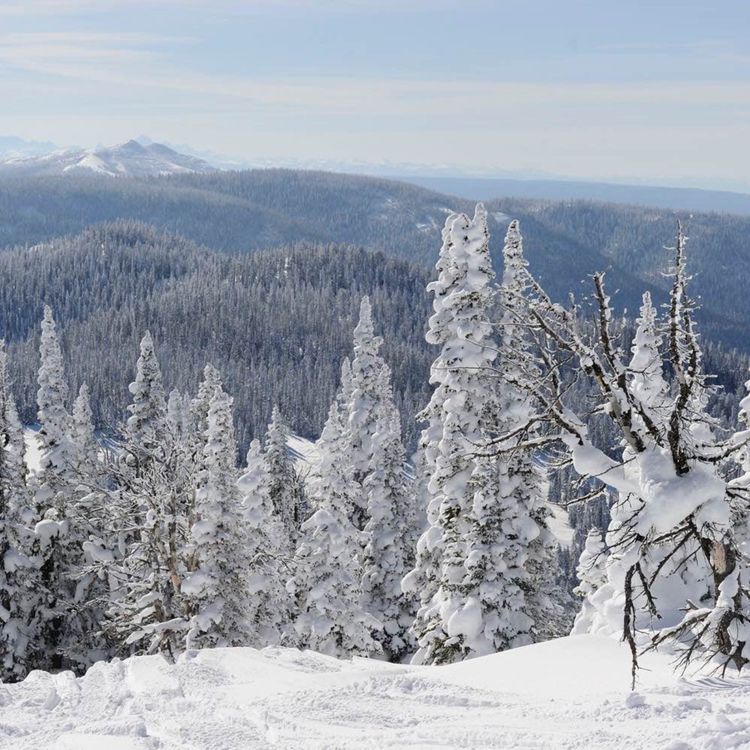cover art for Skoterpodden #30 - Behövs elskotern?