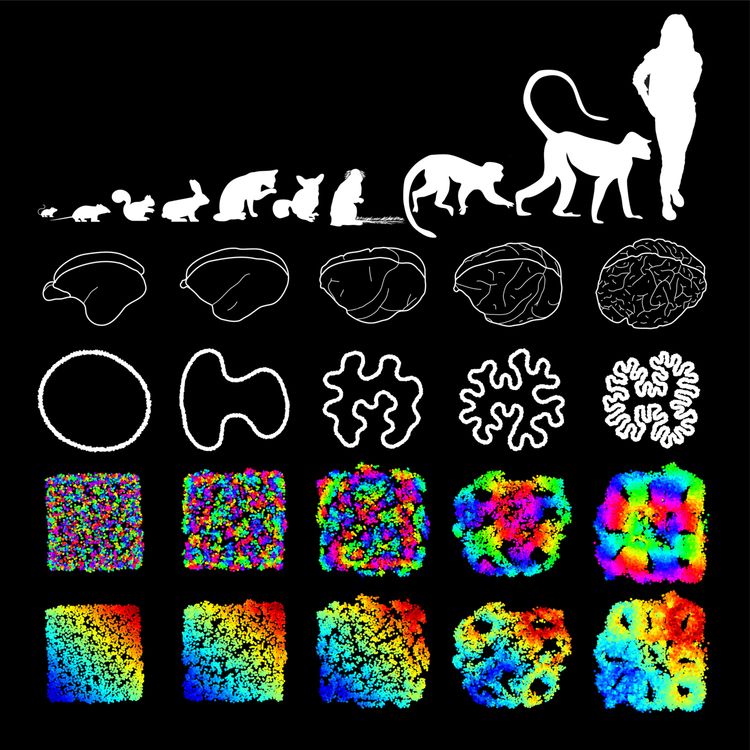 cover art for Discussing "Neural Placement Based on Optimization Principles" by Dr. Marvin Weigand
