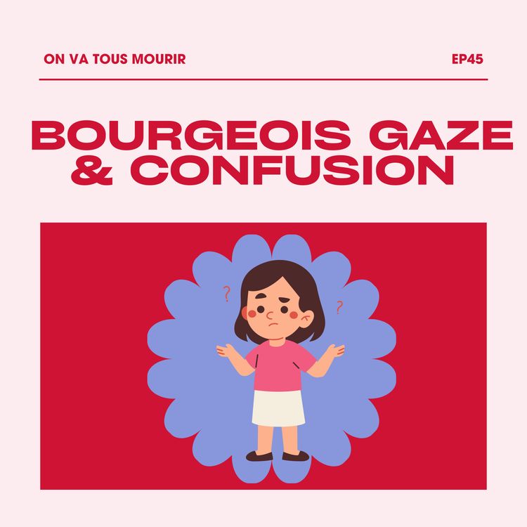 cover art for l'épisode de la confusion et du bourgeois gaze