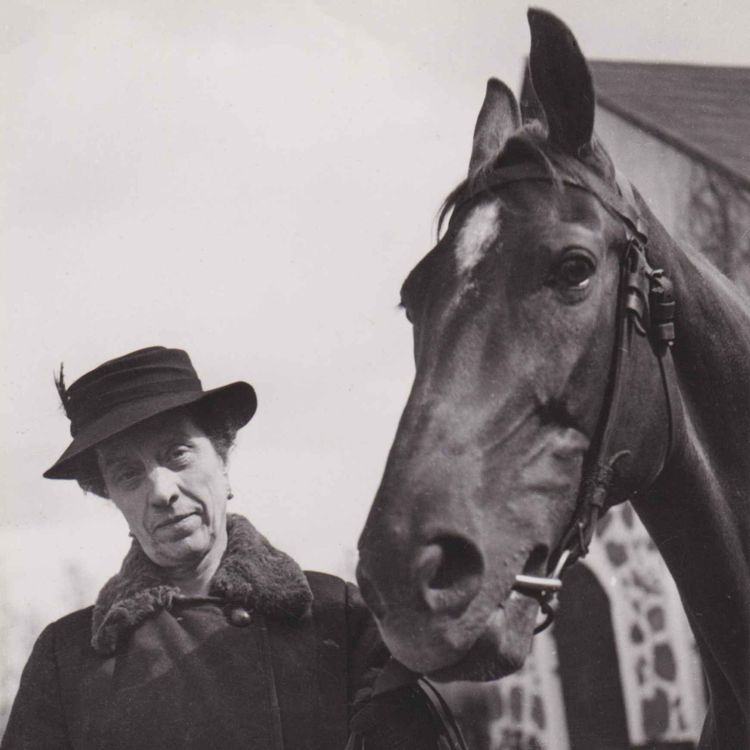 cover art for Herrgårdsfrökens förlorade röst
