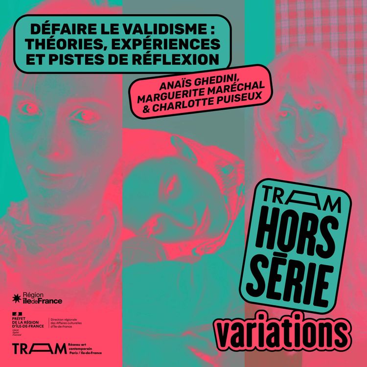 cover art for Défaire le validisme : théories, expériences et pistes de réflexion