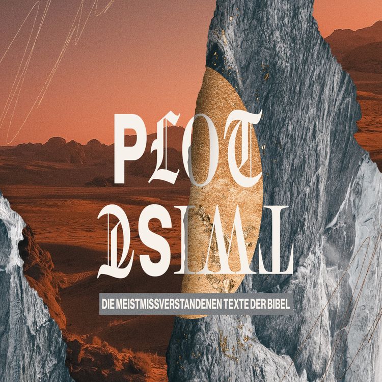 cover art for Du sollst nicht richten (Plottwist)
