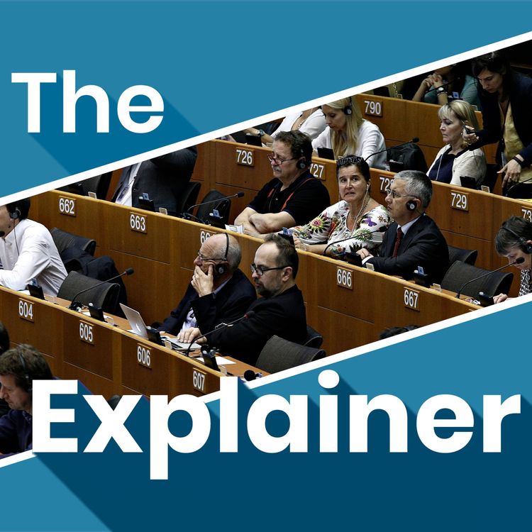 cover art for What exactly are the European elections all about?