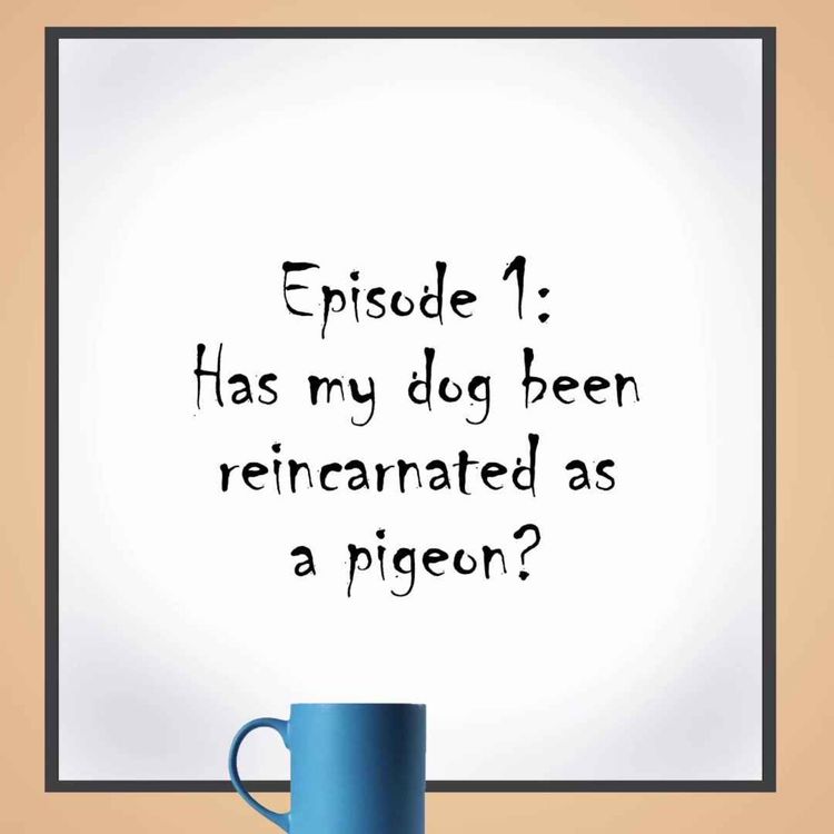 cover art for Has my dog been reincarnated as a pigeon?