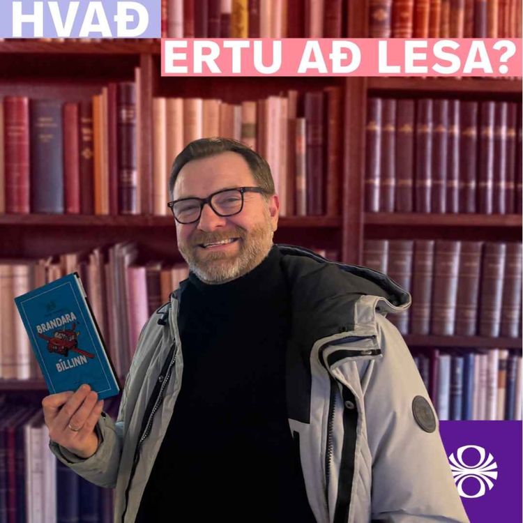 cover art for Brandarabíllinn og fleiri ævintýri í Bjarkarey