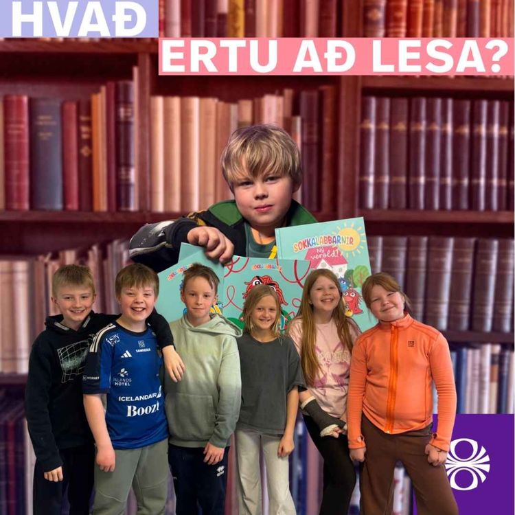 cover art for Sokkalabbarnir og heimsókn í Seljaskóla