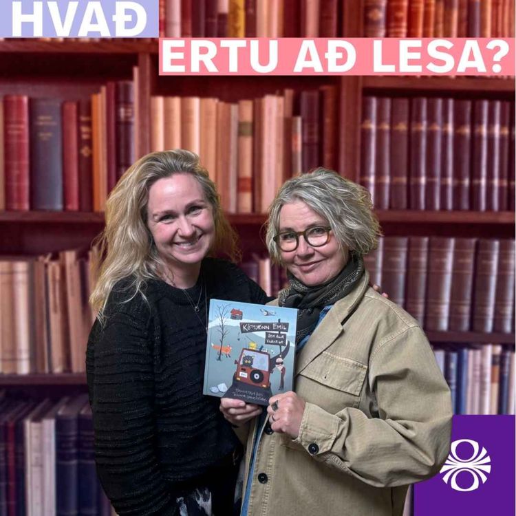 cover art for Kötturinn Emil sem allir vildu eiga