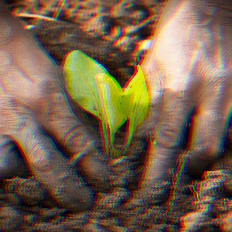 cover art for Kantara 2024/2025 #34: Le magazine radio de la Méditerranée