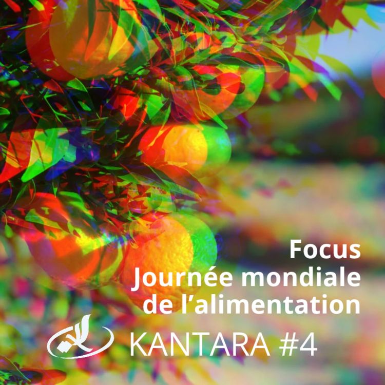 cover art for Kantara 2026/2027 #4: le magazine radio de la Méditerranée