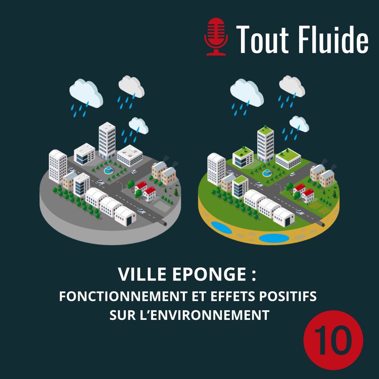 cover art for 10 - Villes éponges, une nouvelle façon de gérer l’eau en ville