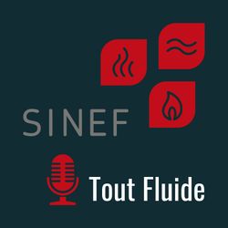 cover art for Tout Fluide