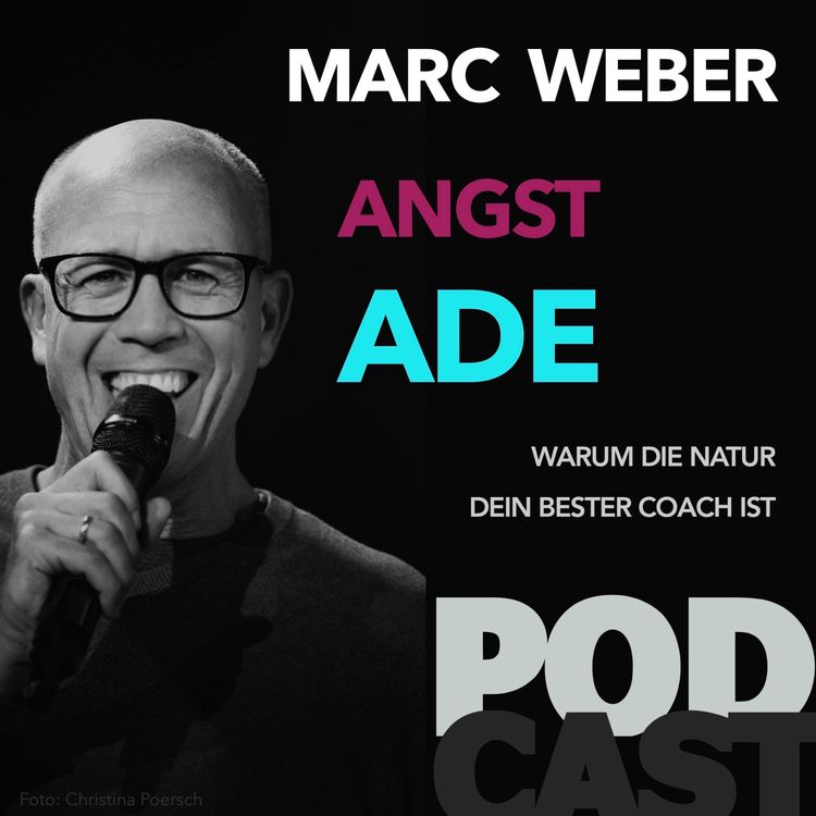 cover art for Angst ade