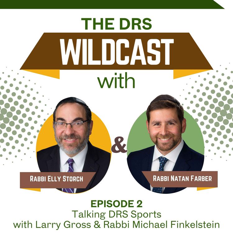 cover art for Episode 2: Talking DRS Sports with Larry Gross & Rabbi Michael Finkelstein