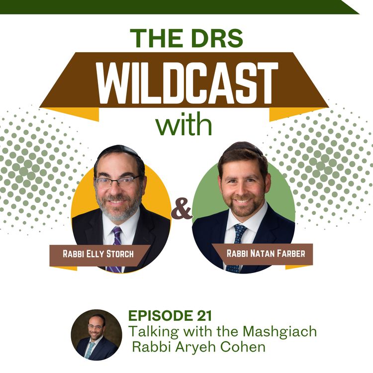 cover art for Episode 21: Talking with the Mashgiach, Rabbi Aryeh Cohen