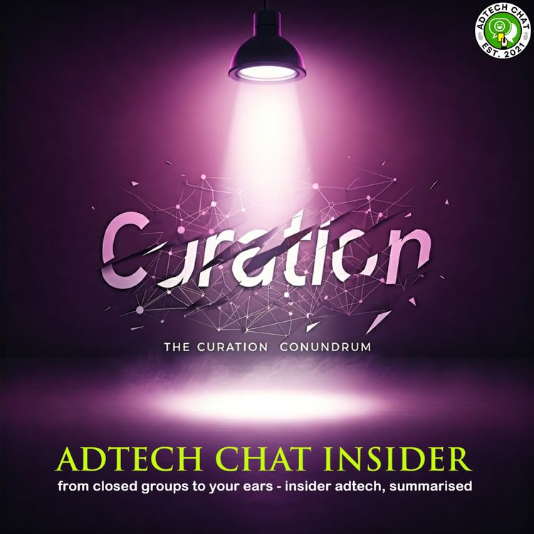 cover art for The Curation Conundrum
