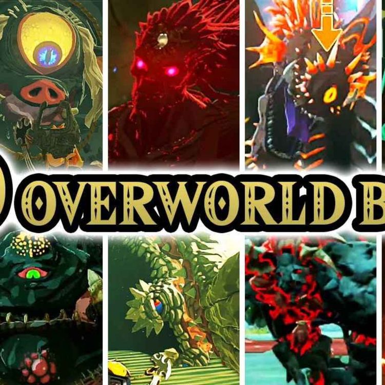 cover art for Ich bewerte alle Monster in totk