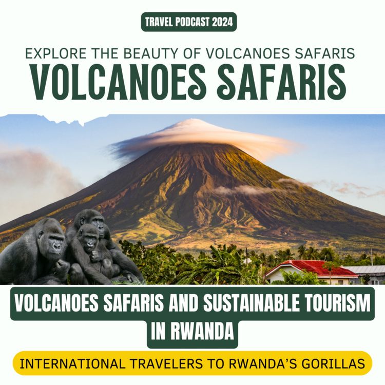 cover art for Volcanoes Safaris and Sustainable Gorilla Tourism: International Travelers 2024