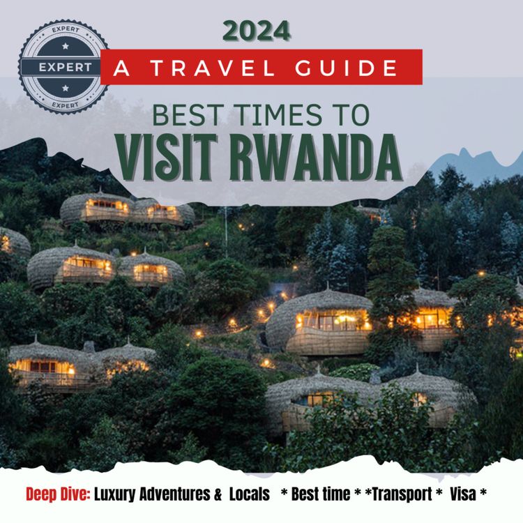 cover art for Expert Guide Rwanda: How to Plan the Perfect Adventure to Rwanda 2024