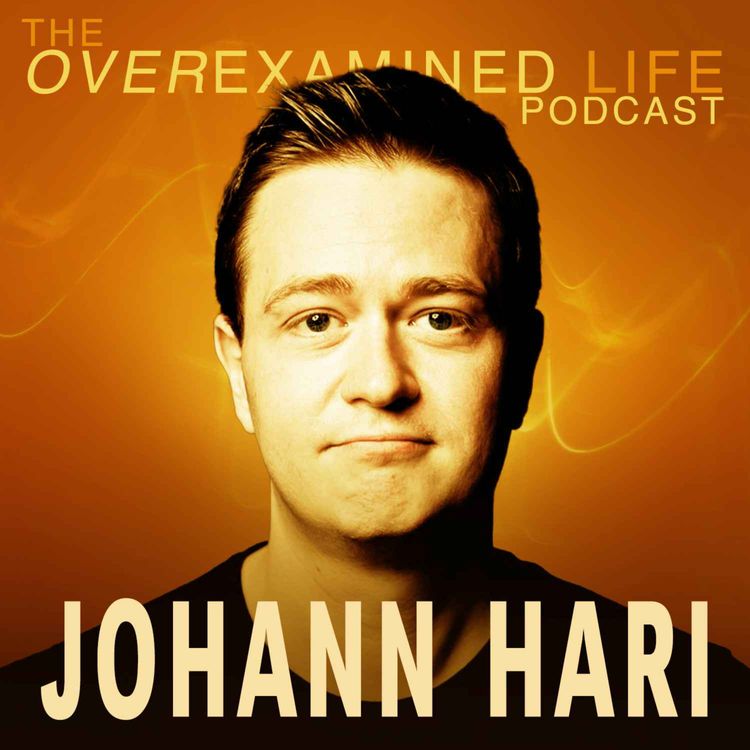 cover art for We’re Not Meant to Feel Good All the Time with Johann Hari