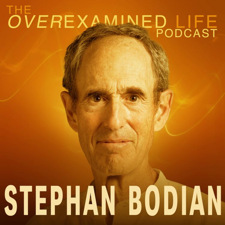 cover art for Why Ego is the Source of All Suffering with Stephan Bodian