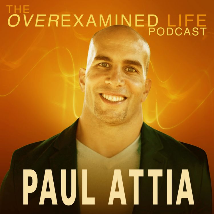 cover art for Paul Attia’s Simple Frameworks to Live With Purpose.