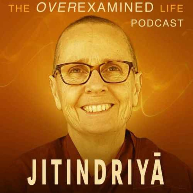 cover art for Exploring Depression With A Buddhist Nun - Jitindriyā