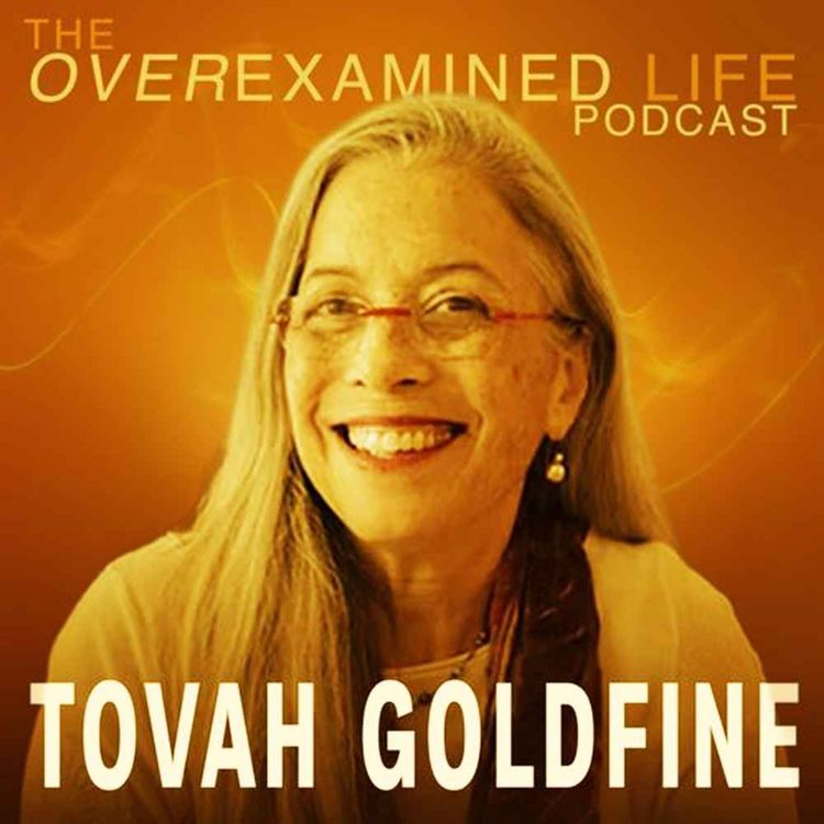 cover art for The Mind-Body Cure for Chronic Pain - Dr. Tovah Goldfine