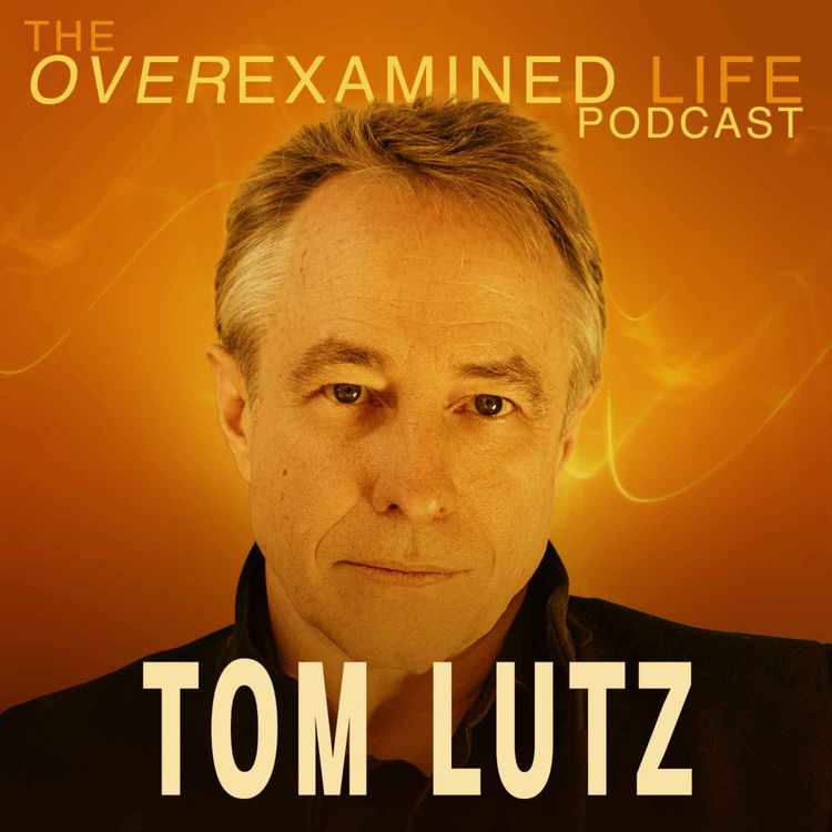 cover art for You Don't Have to Know Where You're Going - Tom Lutz