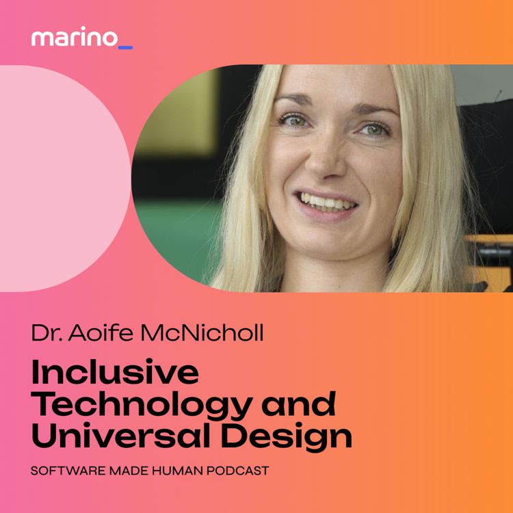 cover art for Inclusive Technology and Universal Design with Dr. Aoife McNicholl