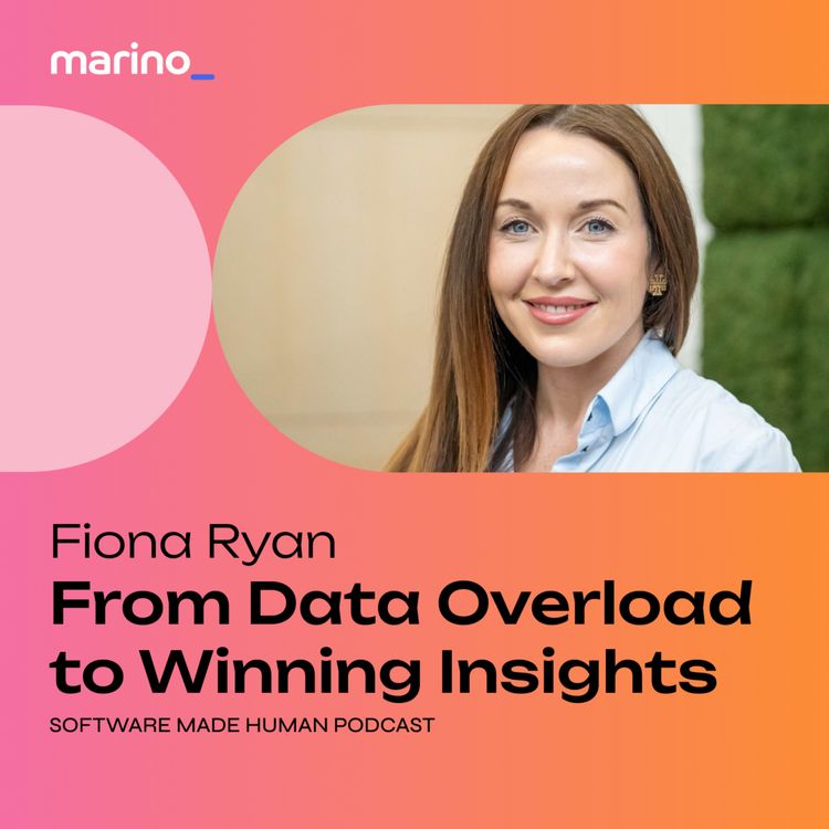 cover art for From Data Overload to Winning Insights with Fiona Ryan