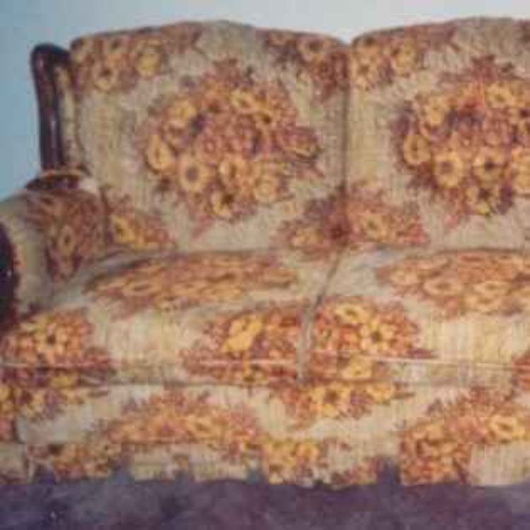 cover art for The Election