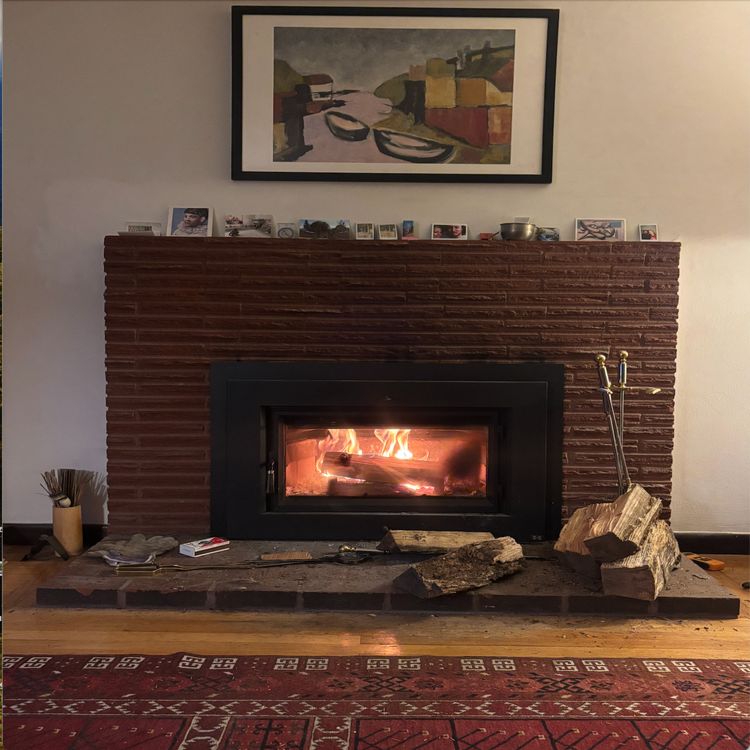 cover art for Philosophical Fireside Chats đ„ đȘ”: Zarathustra and the Snake - Ep. 1