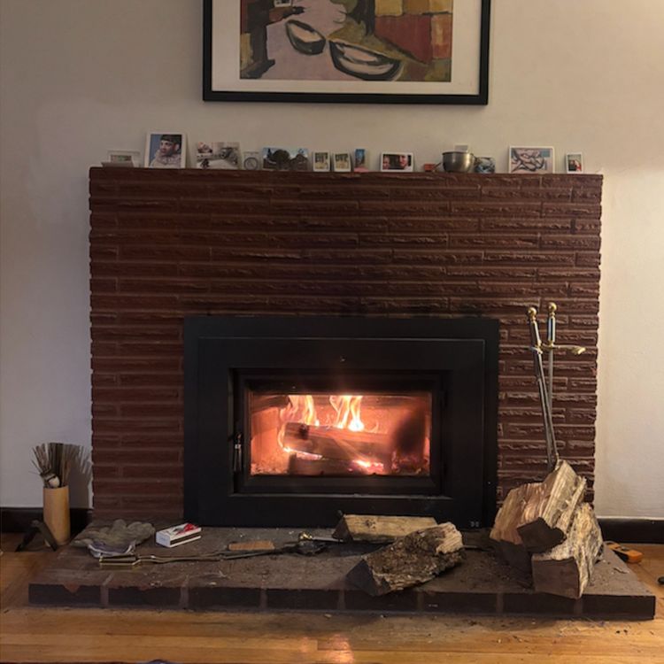 cover art for Philosophical Fireside Chats 🔥 🪵 : The Ox in the Alley from Chuang Tzu - Ep. 7